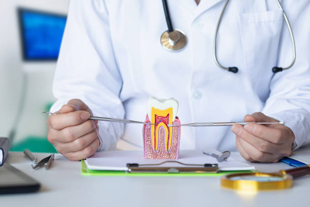 Best Holiday Emergency Dentist in New Fairview, TX